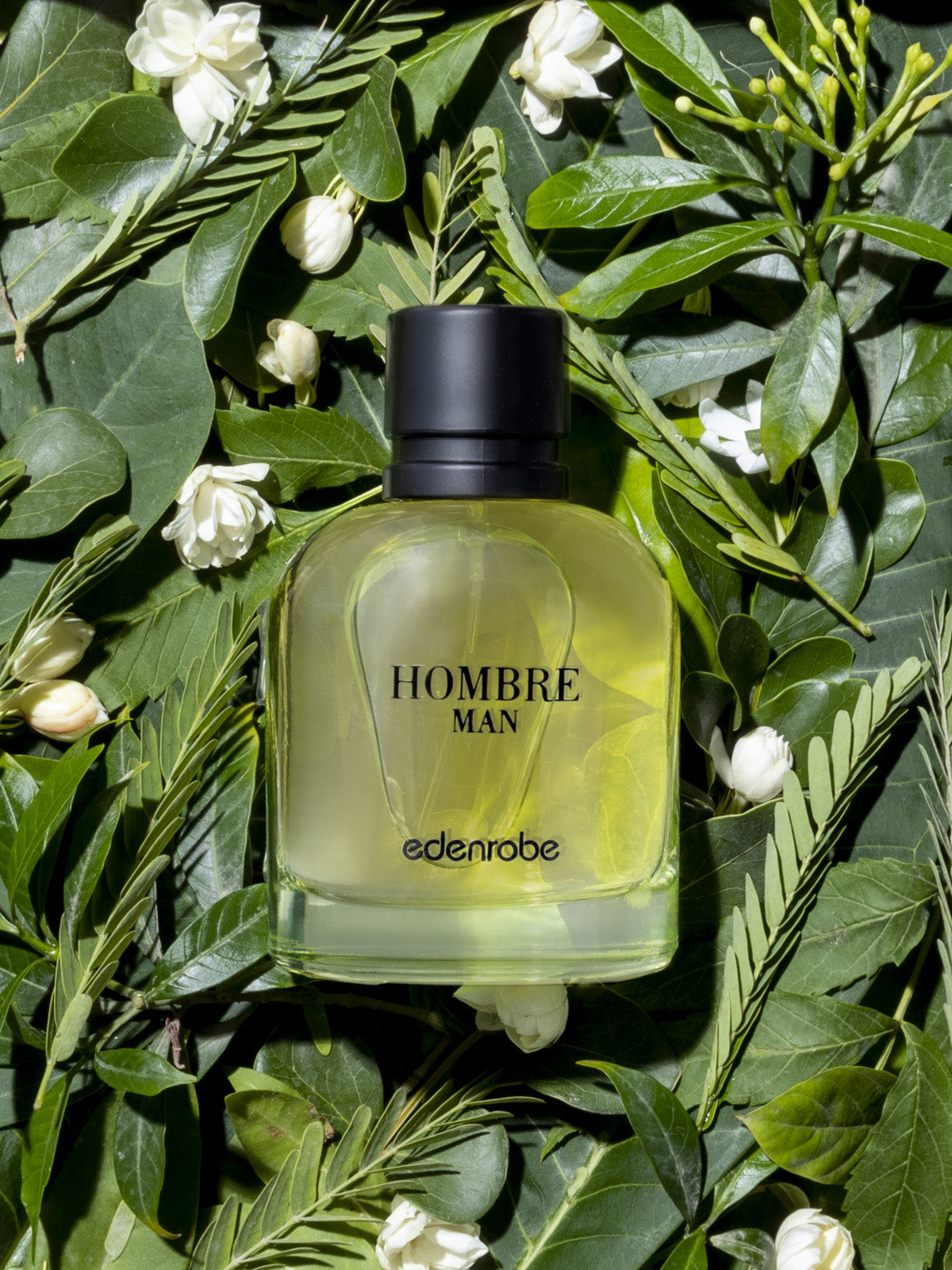 Hombre Men's Perfume 100ML