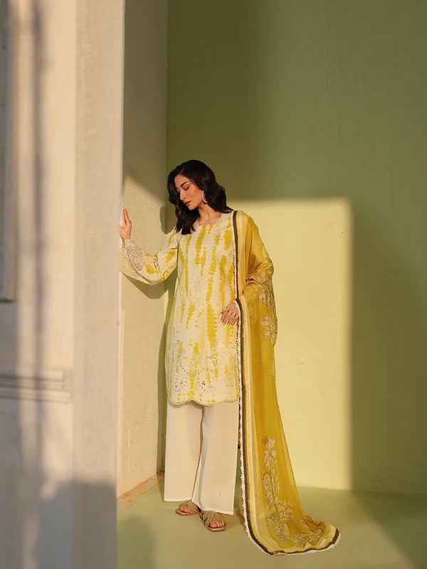 AN-2-13 | 3 PC Lawn