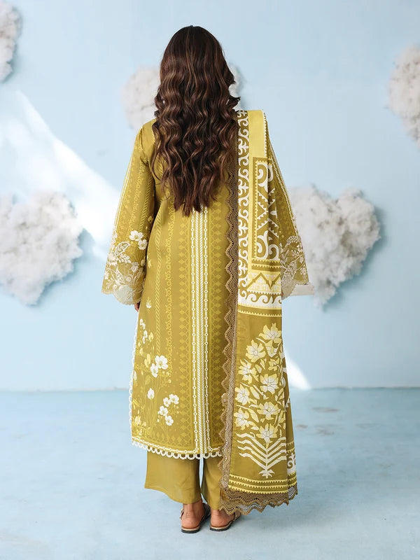 AN-2-17 | 3 PC Lawn