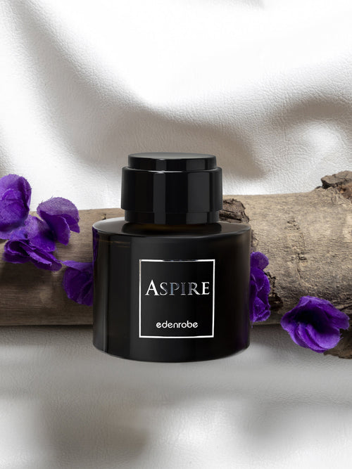 Aspire Men's Perfume 100ML