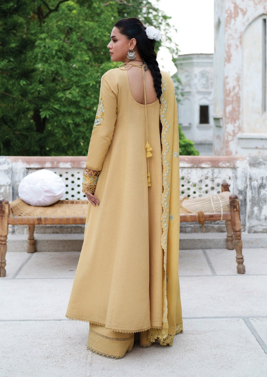 NK-09 | 3 PC Khaddar