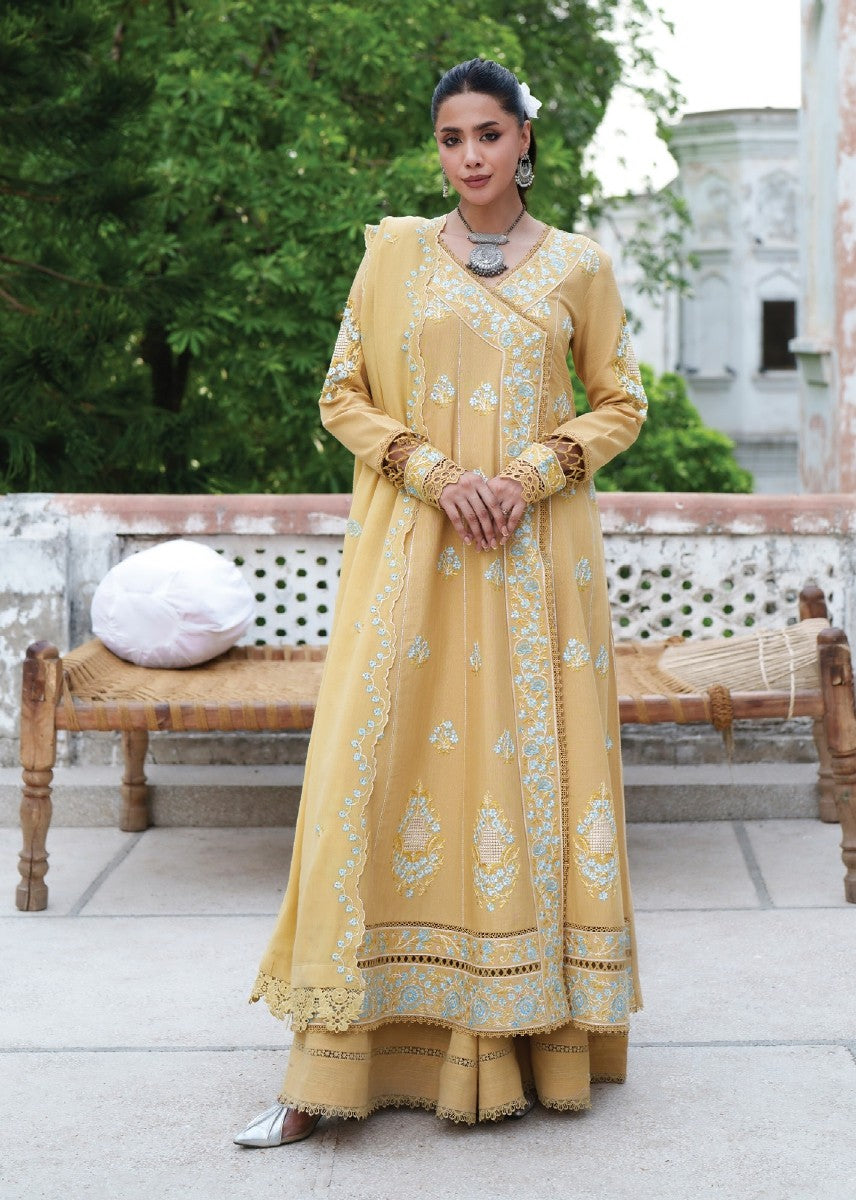 NK-09 | 3 PC Khaddar