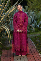 Rang Rasiya Luxury Eid Collection AYRA 3 Piece Suit