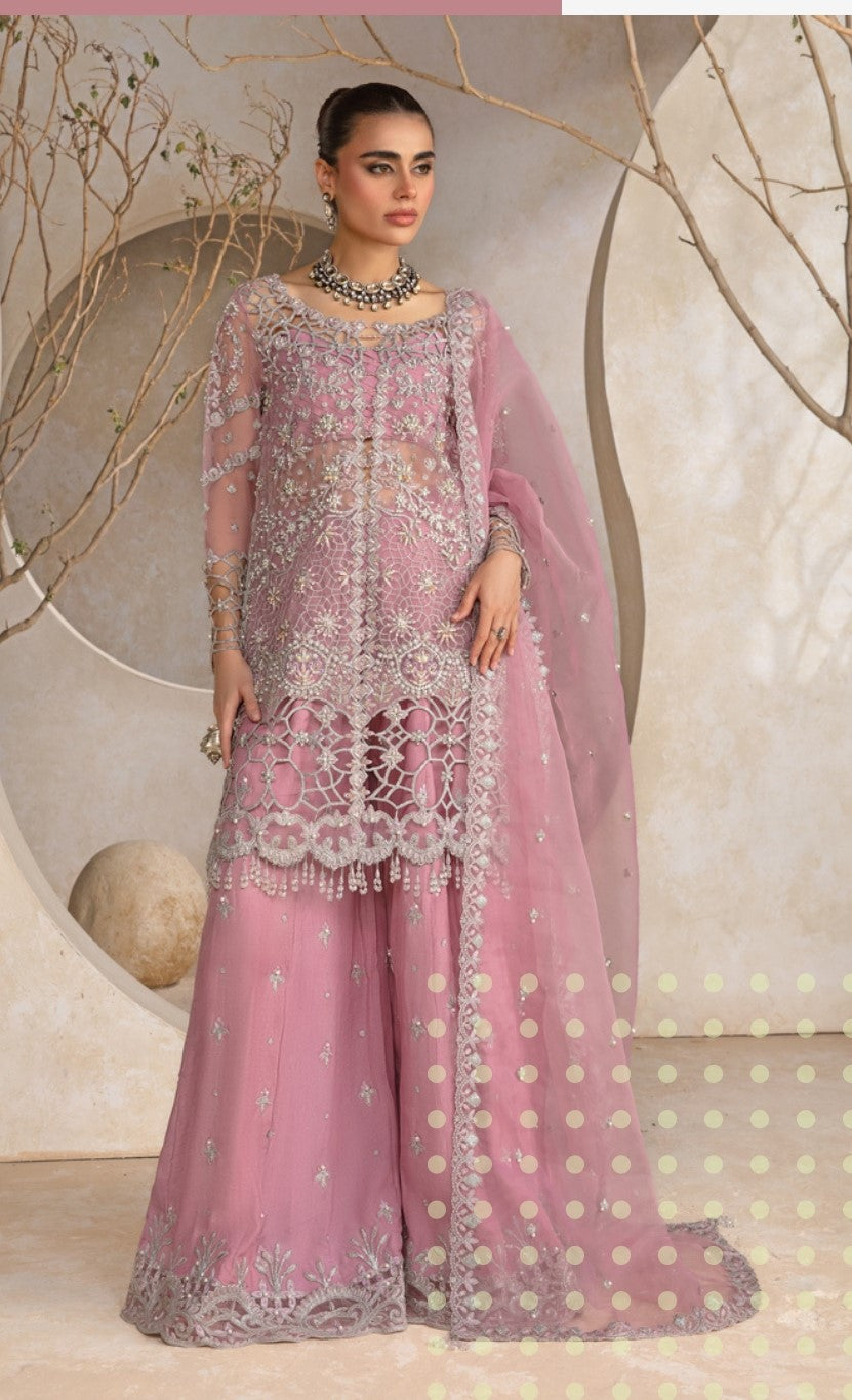 Rang Rasiya Winter Collection 2025