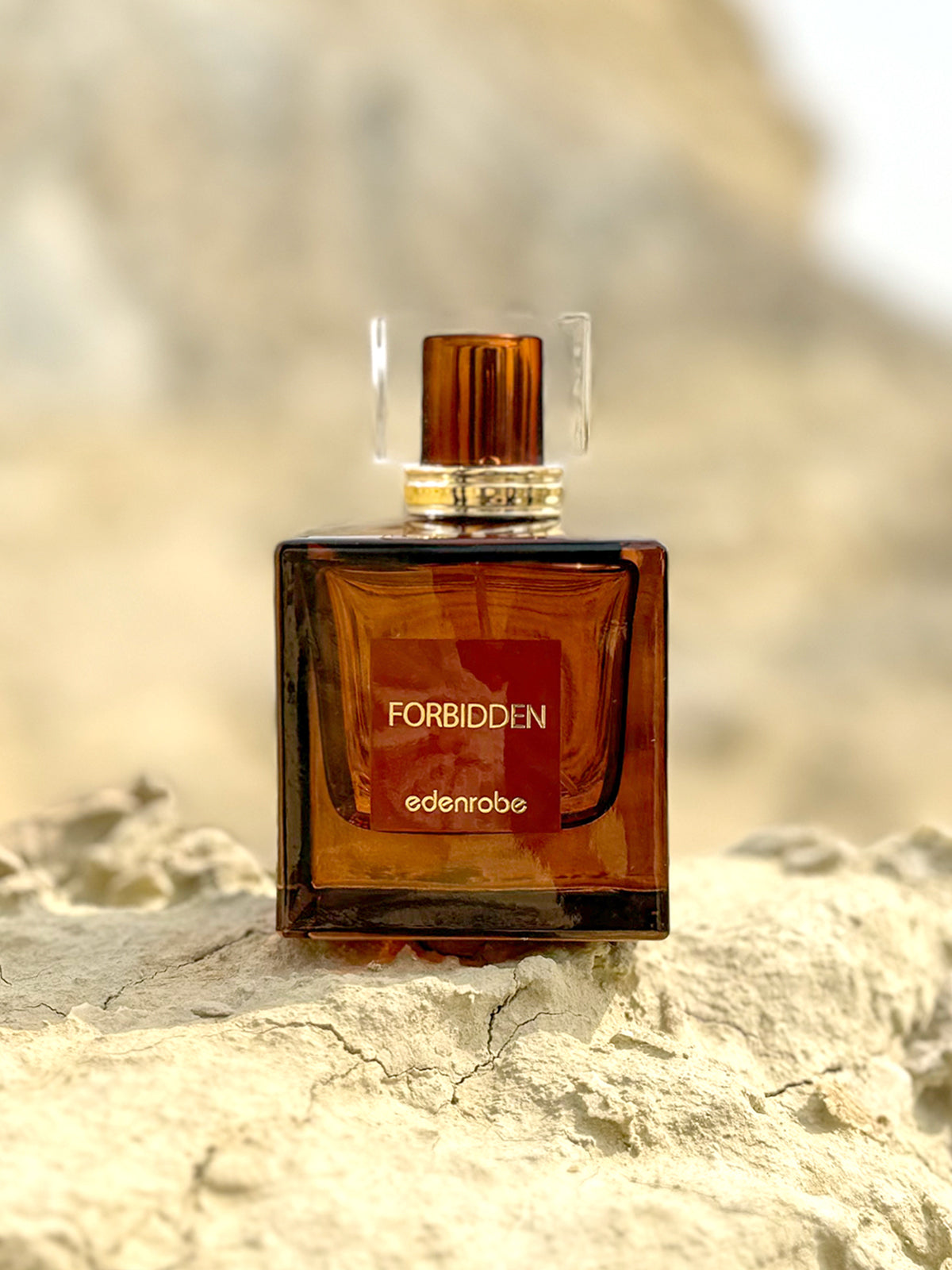 Forbidden Unisex Perfume 100ML